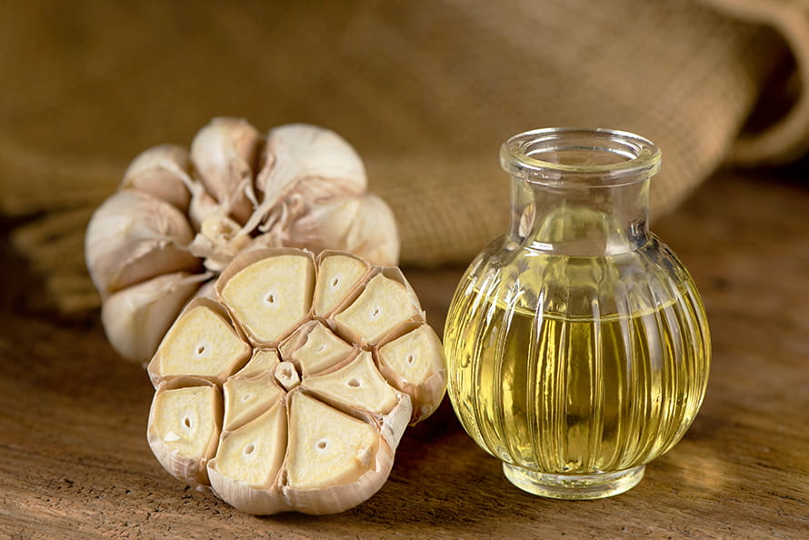 Garlic Oil