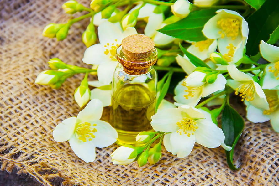 Jasmine Oil